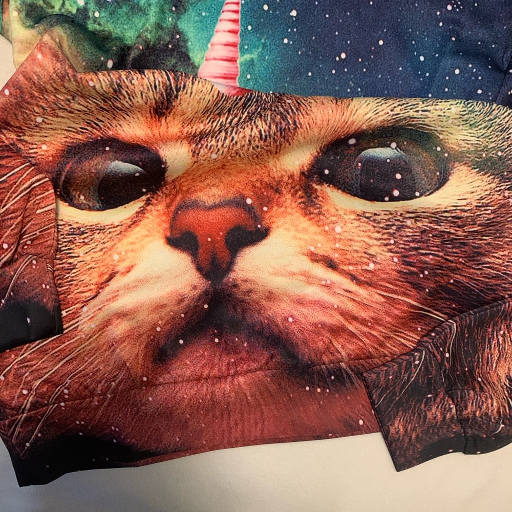 Cutie fox cat sweater